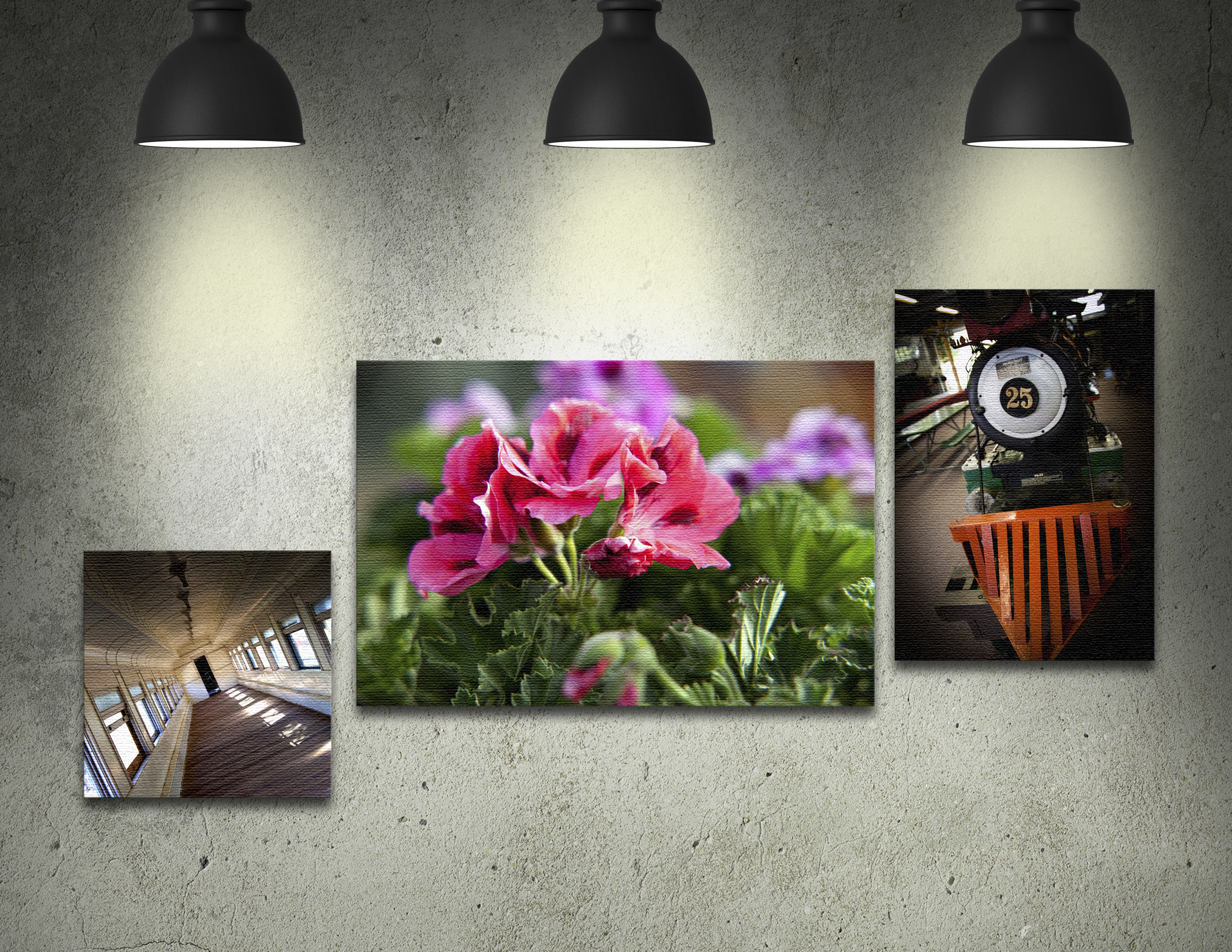 Mounted Canvas Prints County Signs