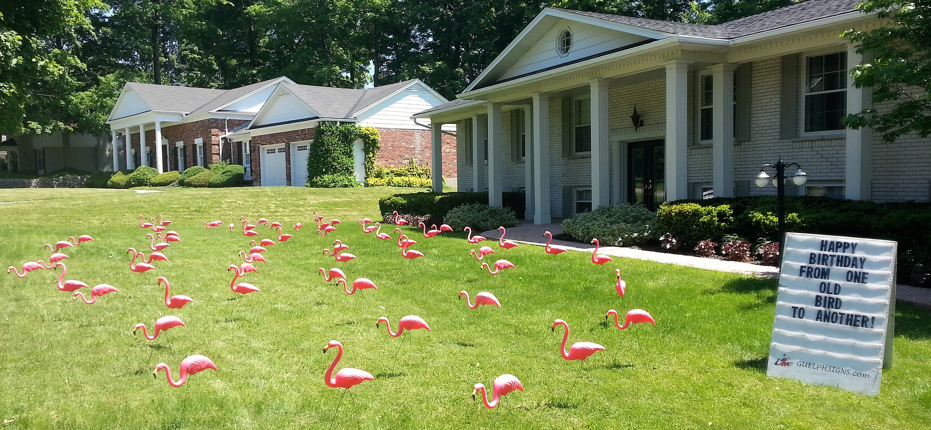 Special Occasion Rentals Guelph Signs
